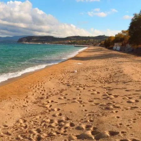 κοχυλι Apartment Ierissos
